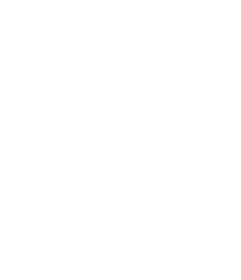 Sunny Monkeys